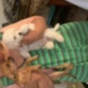 Meet your Posher, Ang